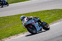 Lower Group White Bikes